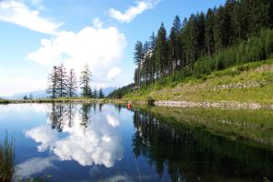Bergsee 