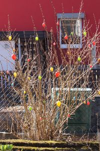 Ostergr��e aus Pulsnitz