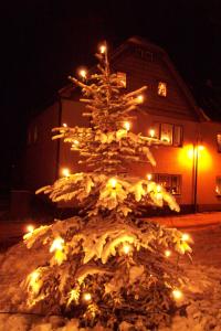 Weihnachtsbaum