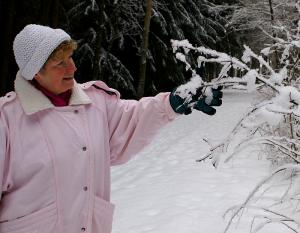 Waldspaziergang am Saubachgrund