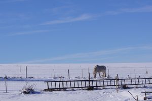 Winterimpressionen an der Rosine
