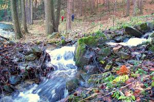 kleiner bach