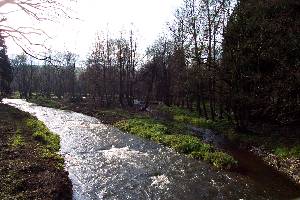 Im Muldental an der Rosine