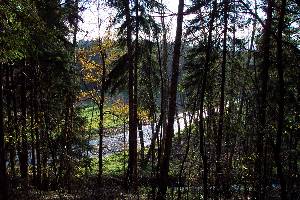 Im Muldental an der Rosine