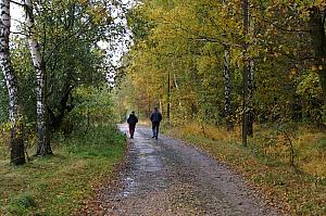 Herbstspaziergang