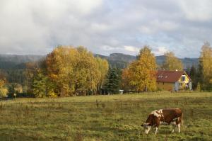 Herbstspaziergang