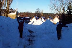 Winter