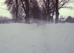 Winter3